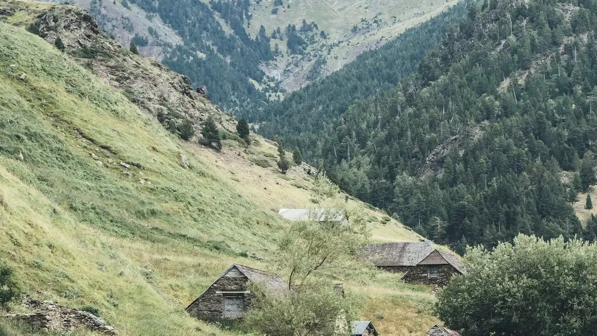 Hausbau im Dorf bei Trabzon: Was Sie über Genehmigung und Bebauungsstatus wissen müssen