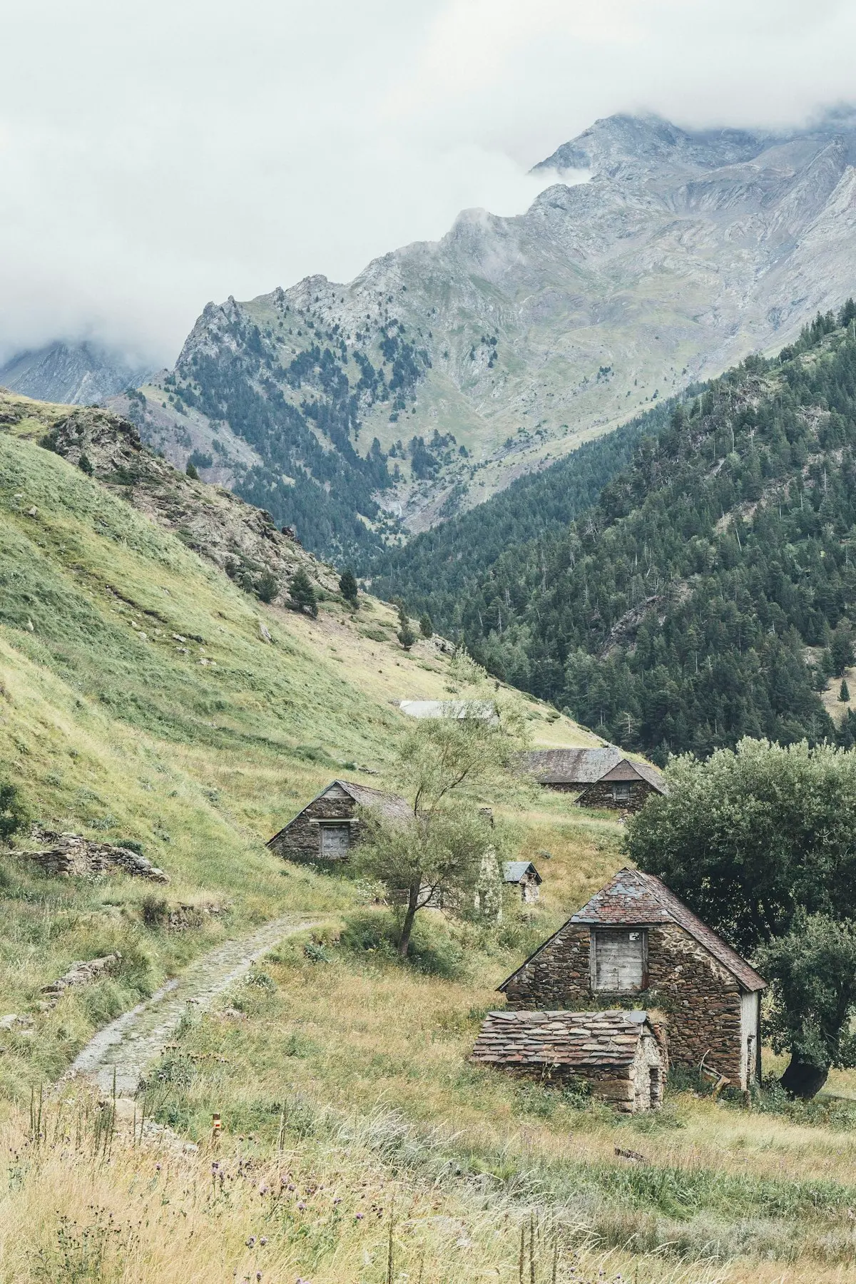 Trabzon'da Köyde Ev Yapmak: Bilinmesi Gereken İmar ve Ruhsat Süreci